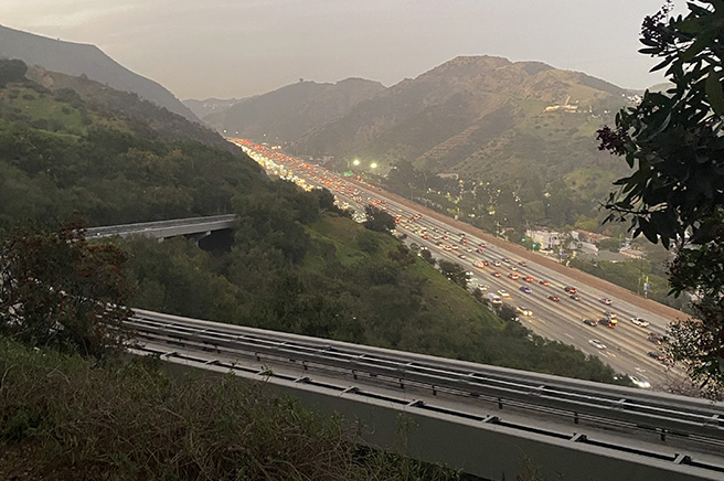 freeway656 in 【2020年版ロサンゼルス実体験記!】アメリカ進出を考えていたら知っておきたいこと4選