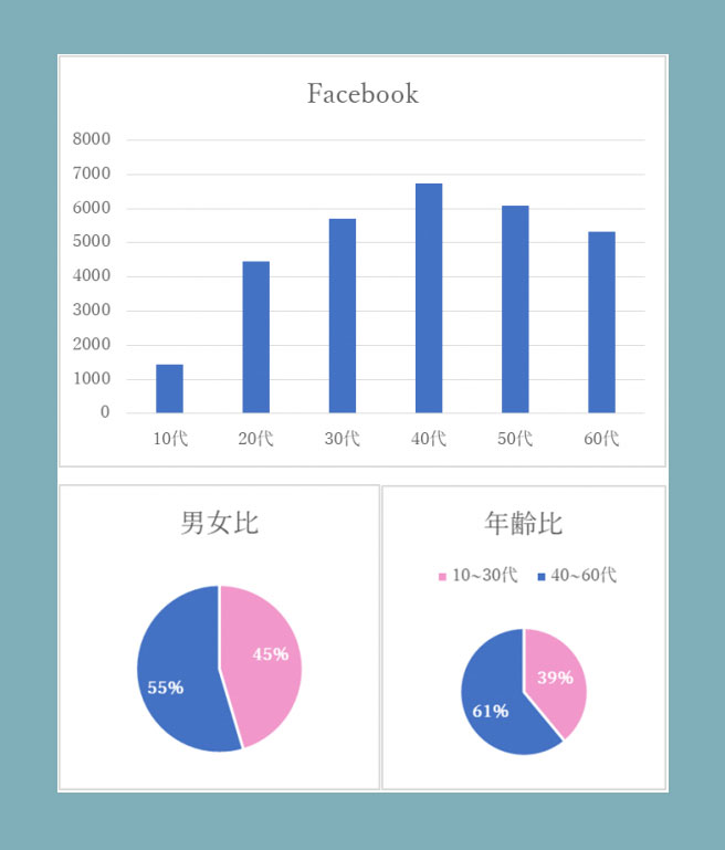 日本 Facebook 使用概況