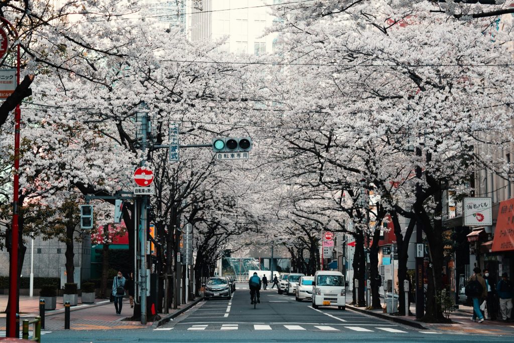 agathe marty 2cdvYh6ULCs unsplash in Emily的日商startup實習日記:自介篇