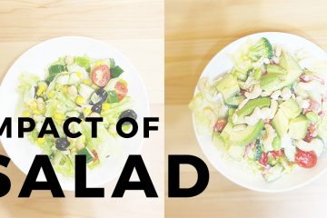 impact salad in 台湾で毎日サラダを一食食べ始めて1ヶ月経った感想