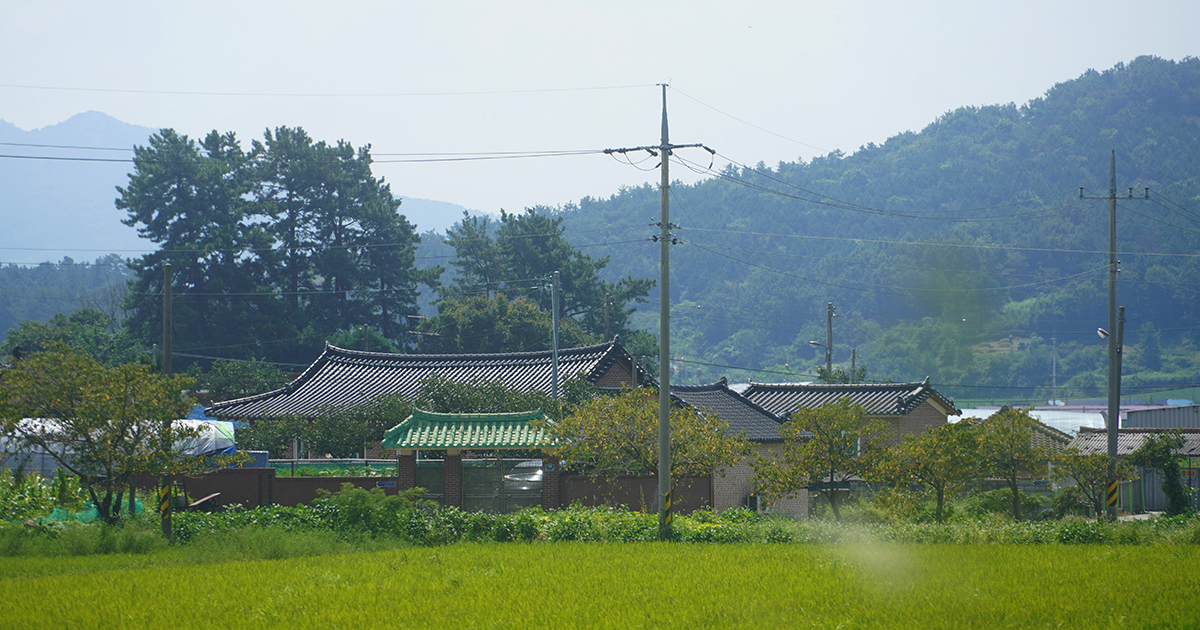 iwate1200 in 日本に戻って気づいた「台湾現地化」した瞬間3選