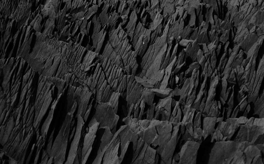 grey in 台湾の労働法を“うまく”使う人たち──現地のリアルな事例